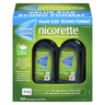 NICORETTE 2MG MINI PAST MENTHE 160