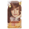 GARNIER BELLE COLOR 64 CHATAIN/CLAI/CUI1